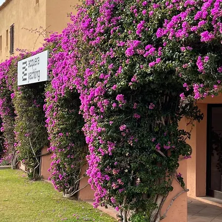 Quadrilocale Porto Cervo *